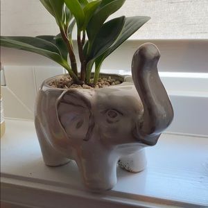 Meet your Posher, Bailie